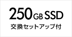 SSD換装パック（250GB） 交換セットアップ付